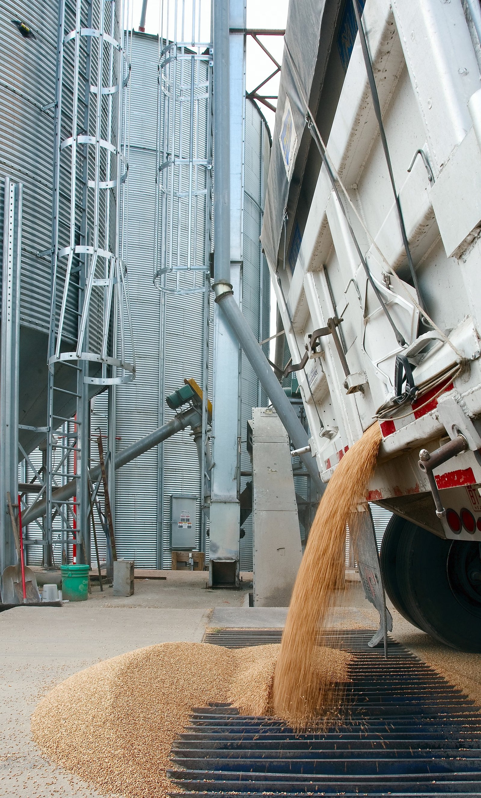 Grano descargándose de un camión hacia una tolva, con silos de fondo