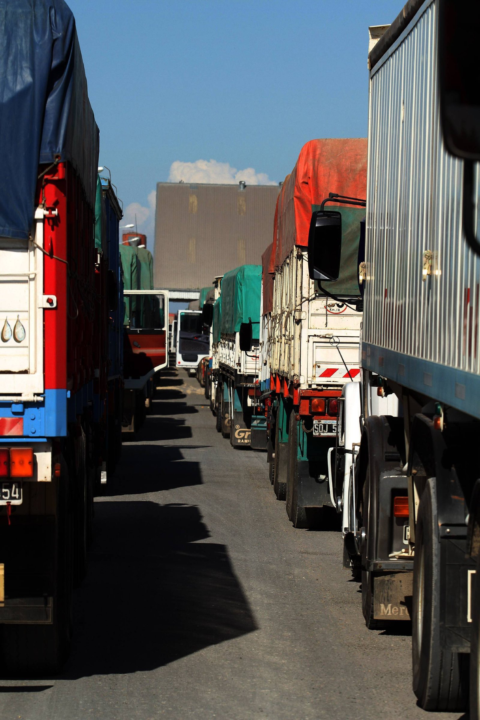 Fila de camiones cerealeros estacionados esperando su turno de descarga